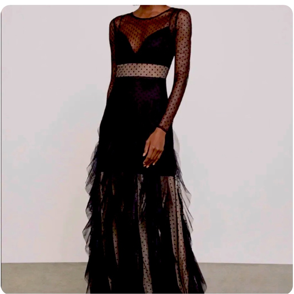 NWT Sheer Ruffle gown